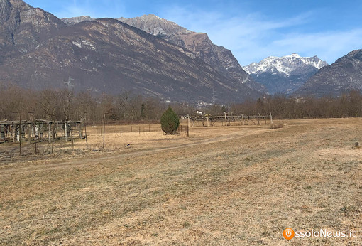 Siccità, il Piemonte avvia la richiesta dello stato di calamità naturale Siccità, il Piemonte avvia la richiesta dello stato di calamità naturale