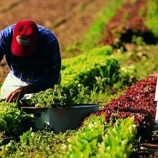 Coldiretti Piemonte: la multifunzionalità agricola strumento di resilienza per i giovani