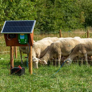 Recinzione elettrica e pascolo sostenibile: come proteggere animali e biodiversità