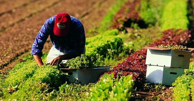 Coldiretti Piemonte: la multifunzionalità agricola strumento di resilienza per i giovani