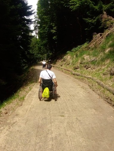 Parco Val Grande, presentato a Caprezzo il ‘Sentiero per tutti’ Parco Val Grande, presentato a Caprezzo il ‘Sentiero per tutti’
