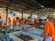 Trontano celebra i sapori d’autunno con la 39ª Sagra del Fungo