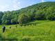 Torna il Sentiero Chiovini: il trekking più noto fra i Sentieri della Resistenza