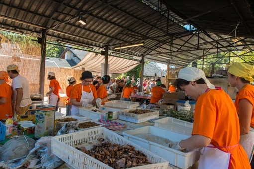 Trontano celebra i sapori d’autunno con la 39ª Sagra del Fungo