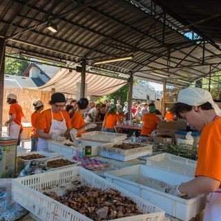 Trontano celebra i sapori d’autunno con la 39ª Sagra del Fungo