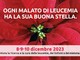 Le Stelle di Natale della ricerca arrivano in Ossola: dove acquistarle Le Stelle di Natale della ricerca arrivano in Ossola: dove acquistarle