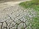 Coldiretti Piemonte: “Servono misure straordinarie per garantire acqua all’agricoltura, cresce il rischio siccità”