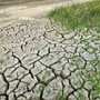 Coldiretti Piemonte: “Servono misure straordinarie per garantire acqua all’agricoltura, cresce il rischio siccità”