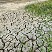 Coldiretti Piemonte: “Servono misure straordinarie per garantire acqua all’agricoltura, cresce il rischio siccità” Coldiretti Piemonte: “Servono misure straordinarie per garantire acqua all’agricoltura, cresce il rischio siccità”