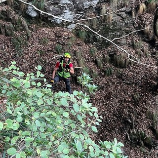 Ritrovati illesi i due cercatori di funghi dispersi ad Arvogno