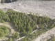 Monte Moro, tutti gli imputati rinviati a giudizio per i lavori della pista Mtb