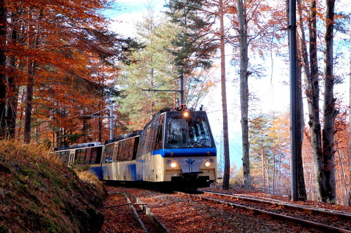 Riparte il Treno del Foliage, un viaggio panoramico tra i colori dell'autunno