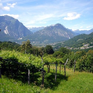 &quot;Lettura e natura&quot;, un'escursione per famiglie alla scoperta di Trontano
