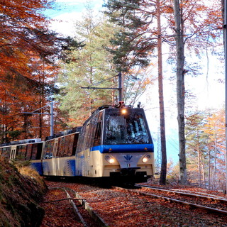 Riparte il Treno del Foliage, un viaggio panoramico tra i colori dell'autunno