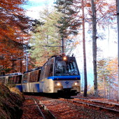 Riparte il Treno del Foliage, un viaggio panoramico tra i colori dell'autunno