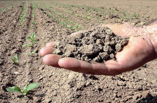 Siccità, nel Bacino del Po scatta l’allerta rossa