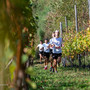 Trail del Calvario, a Domodossola l’undicesima edizione tra sport e solidarietà Trail del Calvario, a Domodossola l’undicesima edizione tra sport e solidarietà