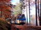 Riparte il Treno del Foliage, un viaggio panoramico tra i colori dell'autunno