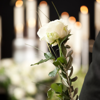 Foto generica d'archivio