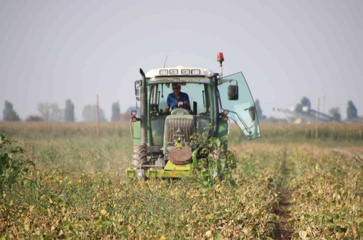 Siccità e caro energia, agricoltori allo stremo: &quot;Stop a rate dei mutui, dateci finanziamenti ad hoc&quot;