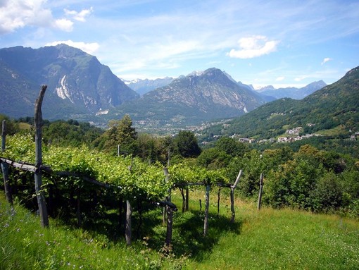 Una nuova strada a Trontano dedicata al Parco