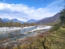 Alla scoperta dei tesori naturali del Toce con il bioBlitz &quot;Un fiume di natura&quot;
