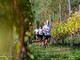 Trail del Calvario, a Domodossola l’undicesima edizione tra sport e solidarietà