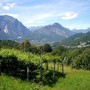 &quot;Lettura e natura&quot;, un'escursione per famiglie alla scoperta di Trontano