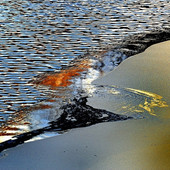 Daniele Ghisla ospite de La Cinefoto