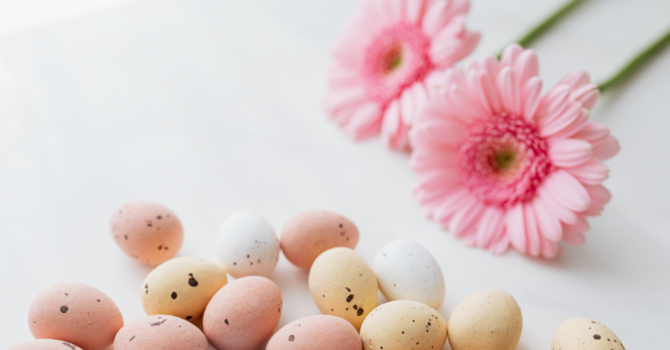 Tornano le uova di Pasqua solidali di Angsa Vco Tornano le uova di Pasqua solidali di Angsa Vco