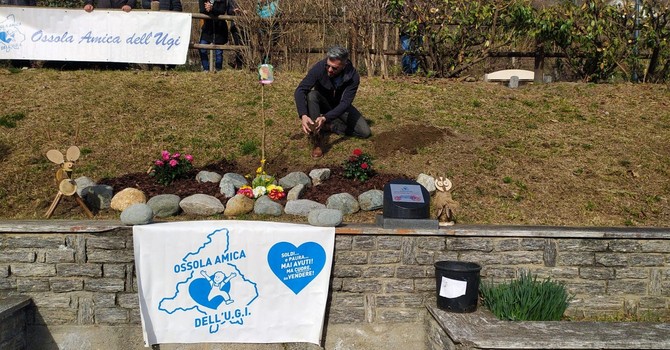 A Montescheno un melograno contro il cancro infantile