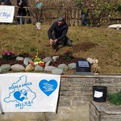 A Montescheno un melograno contro il cancro infantile