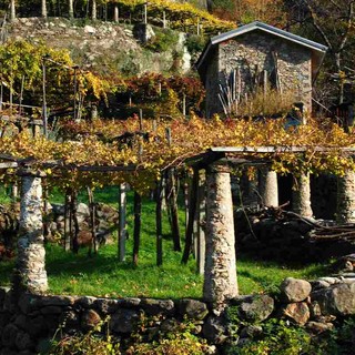 Muretti a secco, dal Piemonte un segnale atteso da anni: Uncem, “Finalmente ascoltato il nostro appello”
