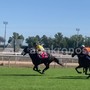 Capannelle, ripartono le corse dei cavalli allo storico ippodromo romano Capannelle, ripartono le corse dei cavalli allo storico ippodromo romano