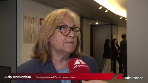 Palestina-Israele: Annunziata (Pd), "Fatto un grande lavoro per questo incontro. Siamo soddisfatti" Palestina-Israele: Annunziata (Pd), "Fatto un grande lavoro per questo incontro. Siamo soddisfatti"