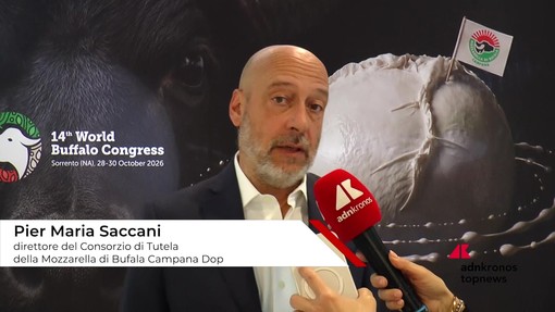 Saccani (Consorzio Tutela Mozzarella di bufala campana Dop): "Aprire all'innovazione per difendere la tipicità"