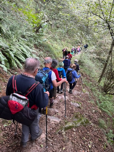 Cai Valle Vigezzo: a settembre la Via del Mercato e l'incontro sulla fauna selvatica Cai Valle Vigezzo: a settembre la Via del Mercato e l'incontro sulla fauna selvatica