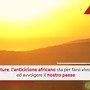 Torna l'anticiclone africano: in arrivo un'ondata di caldo record Torna l'anticiclone africano: in arrivo un'ondata di caldo record