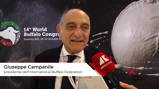 Campanile (International Buffalo Federation): "Robotica e genomica cambiano allevamento bufalino" Campanile (International Buffalo Federation): "Robotica e genomica cambiano allevamento bufalino"