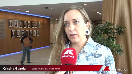 Agricoltura, Guarda (Verdi): "Pac e Ocm fondamentali per il futuro del settore in Europa" Agricoltura, Guarda (Verdi): "Pac e Ocm fondamentali per il futuro del settore in Europa"