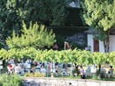 Appuntamento musicale a Villette con &quot;Note al Femminile&quot;