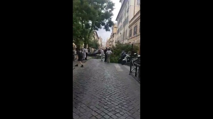 Forte vento a Roma, albero precipita su un taxi in via Ostiense Forte vento a Roma, albero precipita su un taxi in via Ostiense