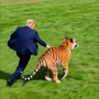 Trump, la lotta e l'abbraccio con la tigre: il tycoon posta la parodia AI della tragedia in Uk