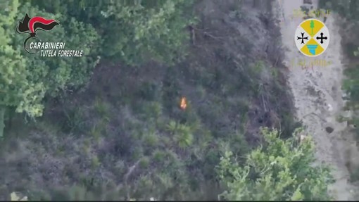 Vibo Valentia, appicca il fuoco in un bosco ma viene ripreso da un drone