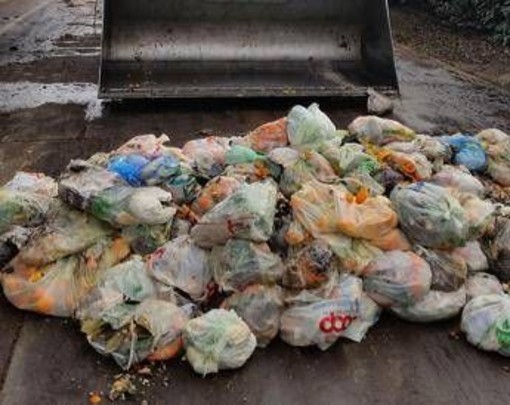 Rifiuti, Cic-Legambiente: alleanza strategica per potenziare il riciclo organico Rifiuti, Cic-Legambiente: alleanza strategica per potenziare il riciclo organico