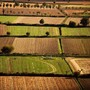 Banca nazionale delle Terre Agricole (Bta), al via nona edizione: in vendita 8.863 ettari per un valore di oltre 121 milioni di euro Banca nazionale delle Terre Agricole (Bta), al via nona edizione: in vendita 8.863 ettari per un valore di oltre 121 milioni di euro