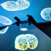 Tagliare le calorie può rallentare l'invecchiamento del cervello: ecco cosa dice lo studio Tagliare le calorie può rallentare l'invecchiamento del cervello: ecco cosa dice lo studio