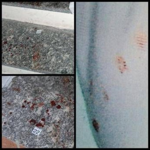 Garlasco, la dinamica dell'omicidio di Chiara Poggi: &quot;Assassino non scende le scale e ha le mani insanguinate&quot;