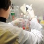 Medicina di laboratorio al top in Italia, Sibioc: "Nostri esperti riconosciuti tra eccellenze internazionali"