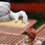 Aviaria, in Lombardia primo caso umano di A H9N2 rilevato in Europa